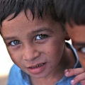 hunger kills many people each year